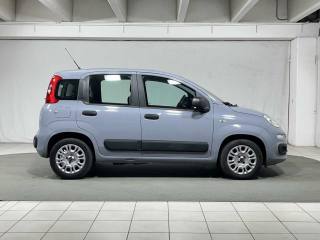 FIAT Panda usata, con Chiusura centralizzata