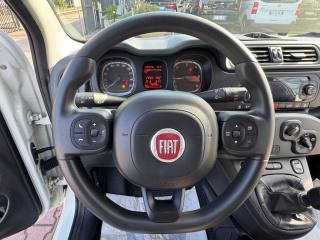FIAT New Panda usata, con ESP