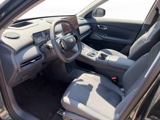 GEELY Starray EM-i usata 10