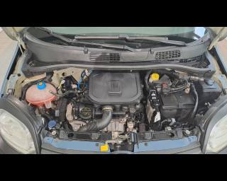 FIAT New Panda usata 22