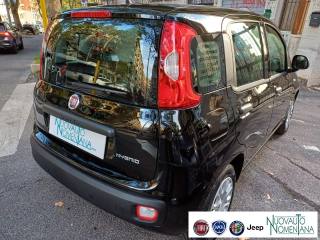 FIAT Panda usata, con Climatizzatore