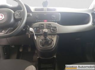 FIAT Panda usata 14
