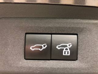 LEXUS NX 450h usata, con Cruise Control