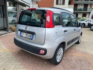 FIAT Panda usata, con Alzacristalli elettrici
