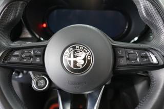 ALFA ROMEO Tonale usata 38