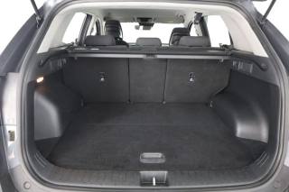 KIA Sportage usata 13