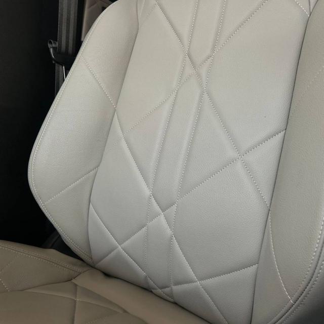 DS AUTOMOBILES DS 7 Crossback usata, con Controllo trazione