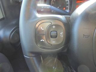 FIAT Panda usata 31