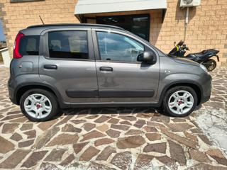 FIAT Panda usata, con Chiusura centralizzata