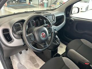 FIAT Panda usata, con Controllo trazione