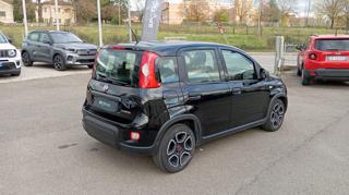 FIAT Panda usata 19