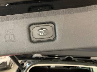 FORD S-Max usata, con Fendinebbia
