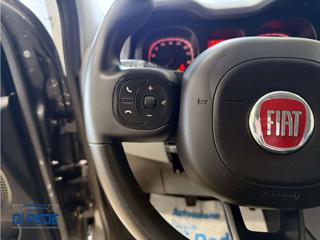 FIAT Panda usata 20