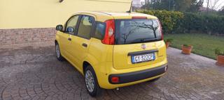 FIAT Panda usata, con Alzacristalli elettrici