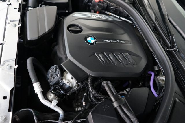 BMW 318 usata 63