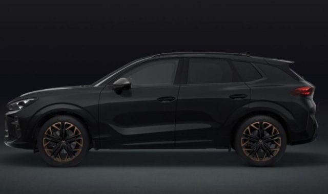 CUPRA Terramar usata, con Autoradio