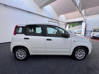 FIAT Panda usata, con Alzacristalli elettrici