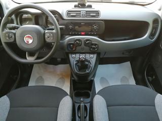 FIAT Panda usata, con USB