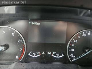 FORD EcoSport usata, con Fendinebbia