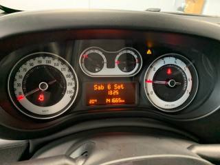FIAT 500L usata, con Servosterzo