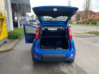 FIAT Panda usata, con Fendinebbia