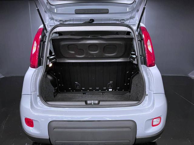 FIAT Panda usata, con Volante multifunzione