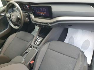 SKODA Octavia usata, con Controllo trazione