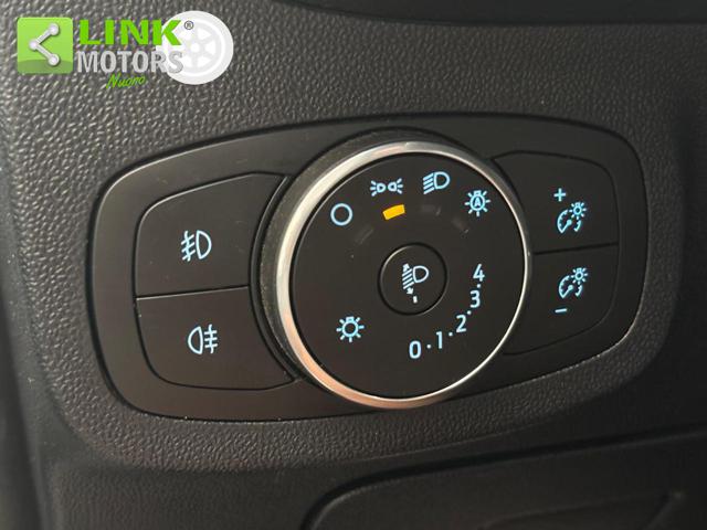 FORD Fiesta usata 14