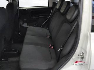 FIAT Panda usata 10