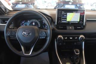 TOYOTA RAV 4 usata, con Fendinebbia