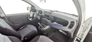 FIAT Panda usata 33