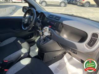 FIAT Panda usata, con Chiusura centralizzata