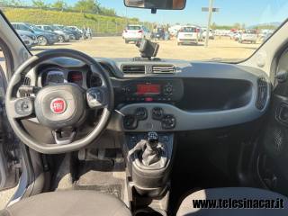 FIAT Panda Cross usata, con ESP