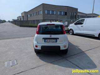 FIAT Panda usata, con Autoradio