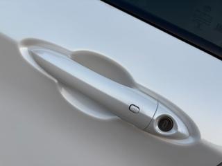 ALFA ROMEO Stelvio usata, con Bracciolo