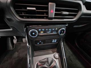 FORD EcoSport usata, con Fendinebbia