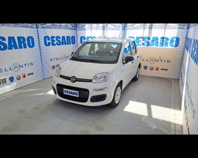 FIAT New Panda usata, con Airbag laterali