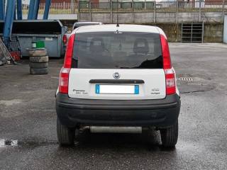 FIAT Panda usata, con Servosterzo