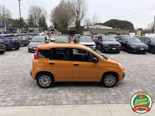 FIAT Panda usata, con Climatizzatore