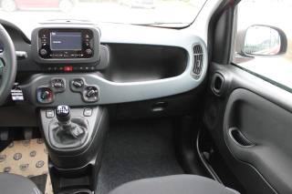 FIAT Panda usata, con Controllo trazione