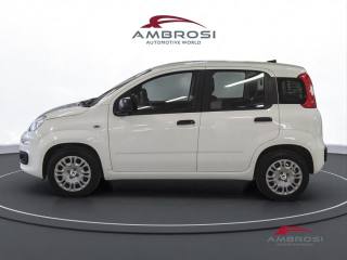 FIAT Panda usata 4