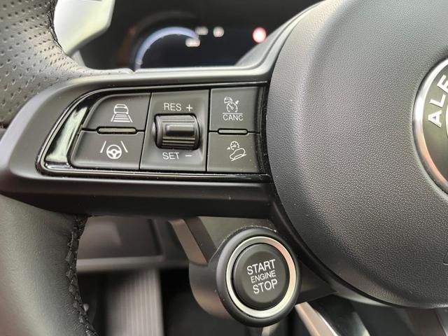 ALFA ROMEO Stelvio usata, con Immobilizzatore elettronico