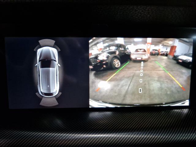 ALFA ROMEO Stelvio usata, con Vetri oscurati