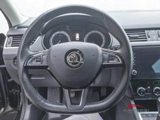 SKODA Octavia usata 13