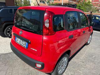 FIAT Panda usata, con Alzacristalli elettrici