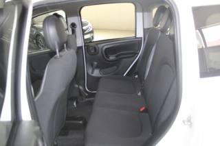 FIAT Panda usata, con Climatizzatore