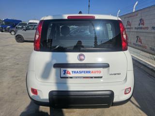 FIAT Panda usata, con Alzacristalli elettrici