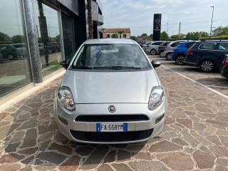 FIAT Punto usata, con Immobilizzatore elettronico