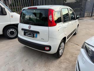 FIAT Panda usata, con Alzacristalli elettrici