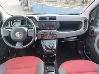FIAT Panda usata 8